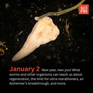 Happy Science Friday! Here’s what we’re covering today on the show. Listen on your local public radio station, 2-4 p.m. ET. 🪱 🏃🏽‍♀️ 🧠 Learn more here: https://buff.ly/tfc5dZl | Science Friday