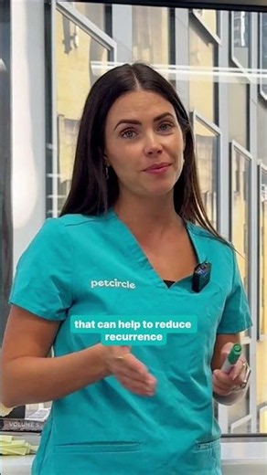 What to do if your dog keeps getting ear infections: vet approved