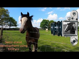 Pentacon 6, 180mm Sonnar, & 80mm Biometar lens and Semi-Stand development in 510 Pyro