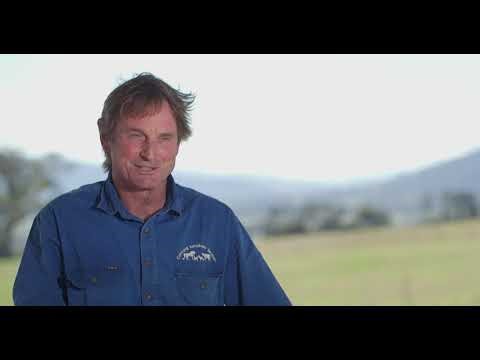 Be Aware. Pestivirus is everywhere: Dr. Chris Miller. VIC Cattle Vet