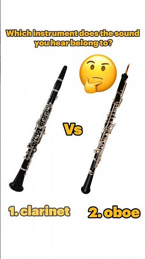 Clarinet vs. Oboe Sound Challenge! 🎵 Can You Tell?"