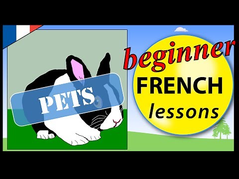Pets in French | Beginner French Lessons for Children