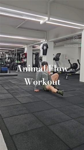 Animal Flow Workout 1
