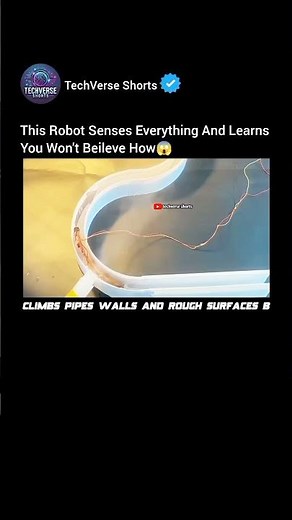 AI FLEXIBLE ROBOT 🤖 That Learns Everything By Itself#shorts#engineering