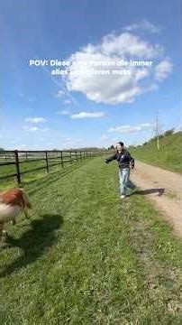 Sheila ist dann mal weg ✨ #pferd #pony #horse #fail #pov #shetty