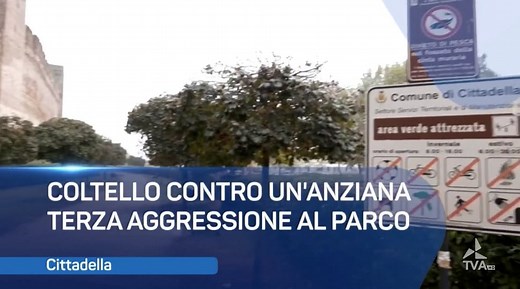 Bassano Notizie del 03/02/2026