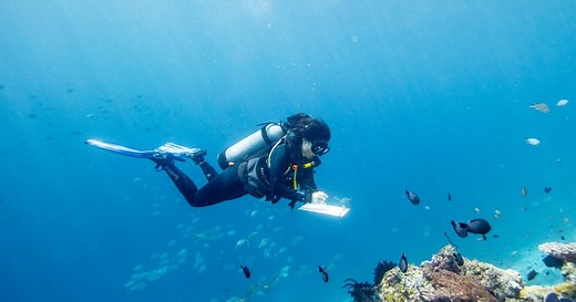 Science: innovative conservation for nature