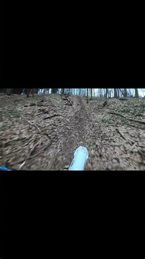 Husqvarna tc 85 2018 big wheels