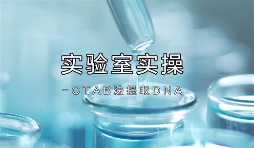 实验室实操-CTAB法提取DNA