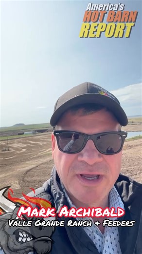 25K views · 129 reactions | Visited this state-of-the-art 12,000 head...