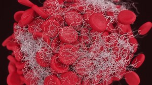 David Rives explains that an often overlooked process like 'blood clotting' shows incredible design | David Rives Ministries