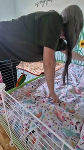 Setting up my cage for my three guinea pigs 🐹🐹🐹⁠ I connected two Kavee cages together to create one big space,⁠ then added fleece liners and hideys for the comfiest home possible.⁠ ⁠ If you like this setup, you can create a similar one on kavee.com! (link in bio)⁠ ⁠ #guineapig #guineapigs #cage #setup #pet | Kavee