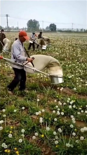 Modern Farming Technology in Action Smart Agriculture#modernfarmer#ytshorts