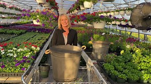 160K views · 2.4K reactions | Line the bottom of large containers before planting them! In this gorgeous combination is Purple Gomphrena, Hula Soft Pink Calibrachoa, Blue Wave Petunias and Dichondra | Smiths Country Gardens | Facebook