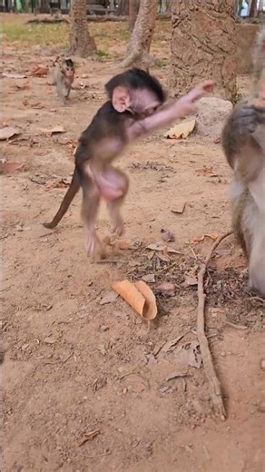 Amazing Baby Dimitri Hopping