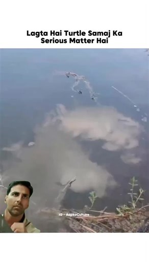 😂😂 Seriously #foryoupage #5millionviews #foryou #1millionaudition #5millionviews