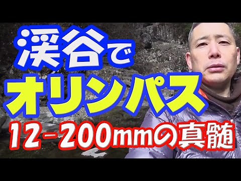 Micro Four Thirds and Zuiko 12-200mm lens to shoot all over the canyon!