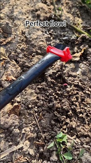 Unclog Your Drip Emitters in 15 Seconds – Fast DIY Irrigation Hack! 🌿