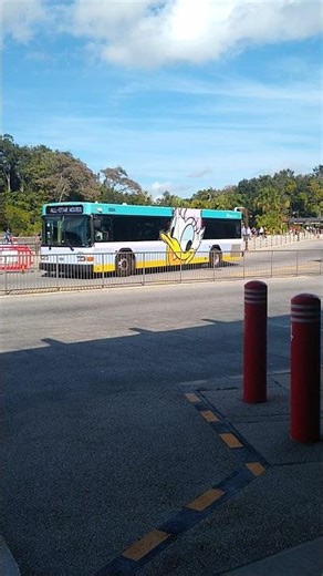 Disney Bus arrives at Disney's Animal Kingdom