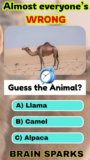 Part 186 Test your Brain knowledge #animals #shorts #trending #quotes #quiz #viral