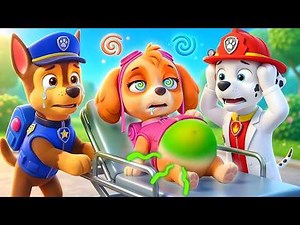 Is Skye Sick? Police Chase! Help! | PAW Patrol Ultimate Rescue