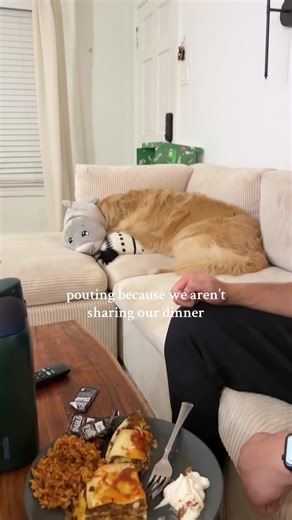 Dog Reacts Hilariously When Called for Dinner