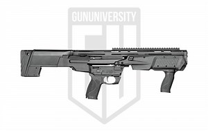 Smith & Wesson M&P 12 Review