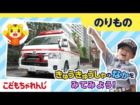 【しまじろうの おしごと探検隊】きゅうきゅうしゃの なかを みてみよう！｜のりもの はたらくくるま｜しまじろうチャンネル公式