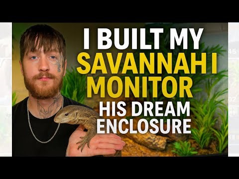 Baby Savannah Monitor Enclosure UPGRADE (Complete Build!)