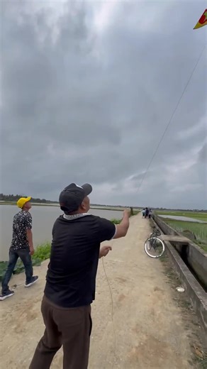The Joy of Kite Flying: Tips for Enthusiasts