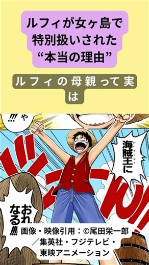ルフィが女ヶ島で特別扱いされた“本当の理由”【ワンピース考察】#ワンピース #ONEPIECE #ルフィ #ルフィの母 #shorts