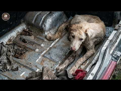 5 years of silent pain ended... We can't believe what he went through