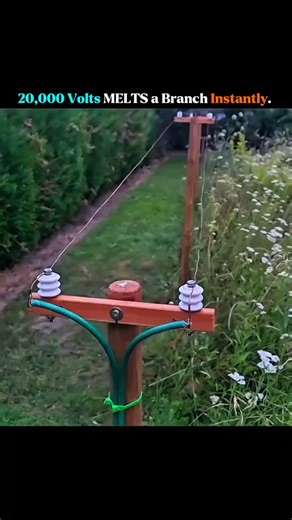 Thefact Lab on Instagram: "In this experiment, we subject a wooden branch to 20,000 volts of electricity to examine the interaction between high voltage and organic materials. The procedure will demonstrate arcing, sparking, and the potential for carbonization as the electricity navigates its course through the branch."