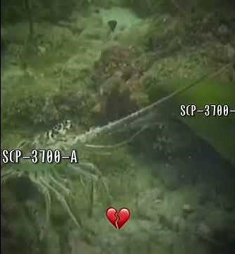 SCP-3700 in real life?☠️ #short #scpfundation #notreal