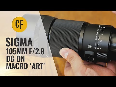Sigma 105mm f/2.8 DG DN Macro 'Art' lens review (Full-frame & APS-C)