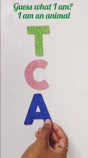 Can You Unscramble me? | Fun Word Challenge😄😄😄😄
