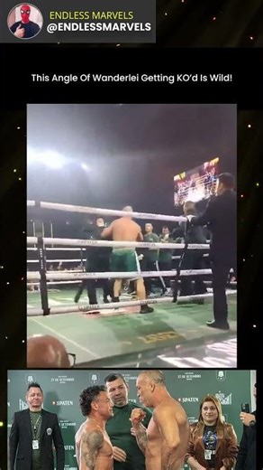 New Angle Shows Wanderlei Silva KO — Insane Footage 😳 #boxing