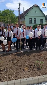 Az új mélykúti központ a sportesemények és a minőségi szórakozás színterévé válhat