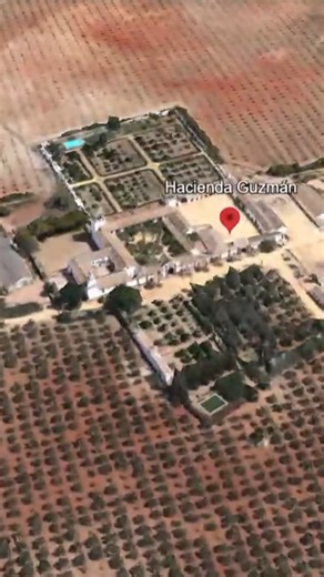 Bienvenidos siempre ♥️ #LaEspanola #OliveOil | La Española