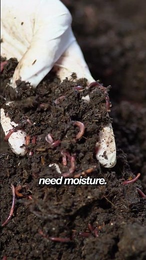 Top 3 Worm Fails (and How to Fix Them in Seconds!) 🪱