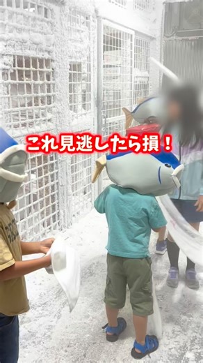 まる｜兵庫県の子連れお出かけナビ on Instagram: "詳しくはここ👇 年に数回しか開催されない 超お得な市場イベント『魚河岸デー』🐟 次回の開催日が決まったよ！ 前に行った時は もう驚きの連続で…笑 ✔️シャケ1尾が1,000円！🐟 ✔️いちご2パック500円！🍓 ✔️えびすくいは45匹ゲットして まさかの1匹12円😂🦐 ✔️野菜も激安🥬 お得なだけじゃなくて -50℃の倉庫に入れる激レア体験❄️ こども向けブースや マグロの解体実演 ファミリークッキングなども😊 私のイチオシは「模擬セリ」 最後はみんなでじゃんけん 大盛り上がり🤣 1,500円で落札したサーモン 実は動画の2倍の量😳！ 今回の開催日は 2月14日(土) バレンタイン当日！ 家族みんなで美味しいものを安くゲットして 最高の思い出を作ろ🥰 人気イベントやから 早めに行くのがおすすめ！ 魚河岸デー 📍 神戸市中央卸売市場本場 兵庫県神戸市兵庫区中之島1-1-4 🗓 2/14(土) 9:30〜11:30 💰入場無料 🅿️イオンモール神戸南の駐車場へ ーーーーーーーーーー @maru_o