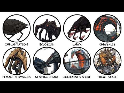Every Single Muto Stage Explained