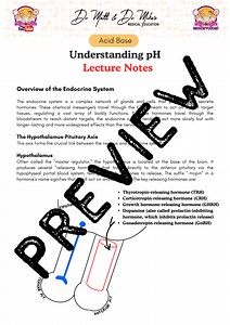 Endocrine System Overview - Lecture Notes