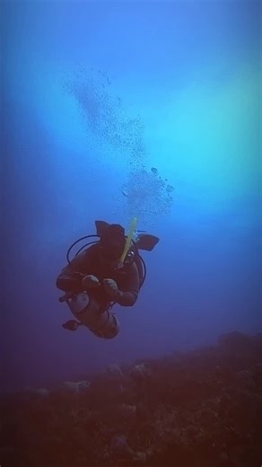 Explore the art of leadership and elevate your diving expertise with the PADI Divemaster Deep Dive Scenario! Gain mastery in advanced deep diving skills, safety measures, and emergency readiness to step up as a skilled and confident dive professional. #PADIPro #DivemasterLife #DeepDive #ScubaDiving #DiveMasterTraining #OceanLover #GoPro #CozumelMexico #ScubaDivingInstructor #UnderwaterPhotography | Go Pro Blue Magic | Facebook