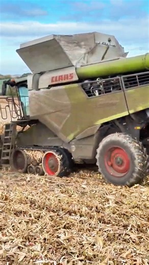Just feel the vibe of new season harvest | Big Machines