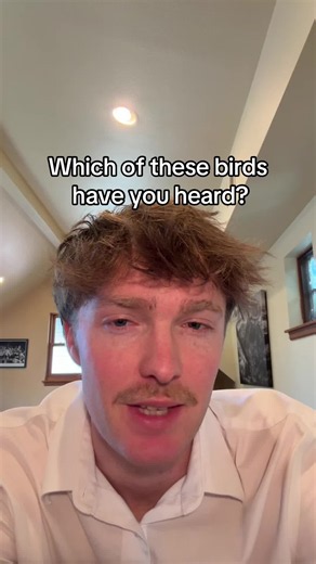 Which UK Bird Sounds Have You Heard? Top 10 Common UK Birds