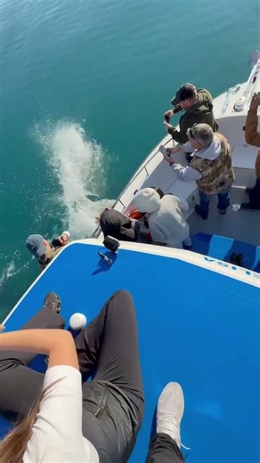 This Ocean Moment Was Absolutely Incredible 😱🌊 | Boat Adventure #Shorts