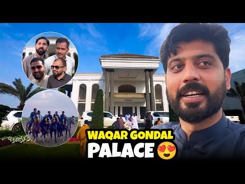 We are Buying Horses? 🤔 | Your Opinions Needed | Bilal Marth