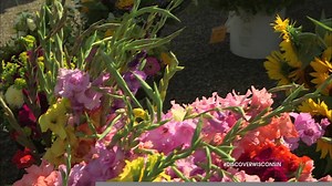 The journey in Wisconsin's southern Mississippi river towns finishes up with the Potosi Brewery and the National Brewery Museum, classic cars on the Great River Road, the Cassville Ferry and local farmers' markets. | Discover Wisconsin