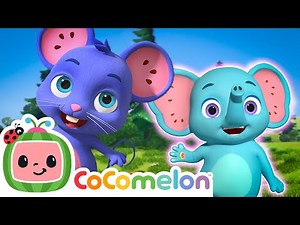 Opposite Friends! 🪴 Big & Small Song! | CoComelon Animal Time | Animals for Kids